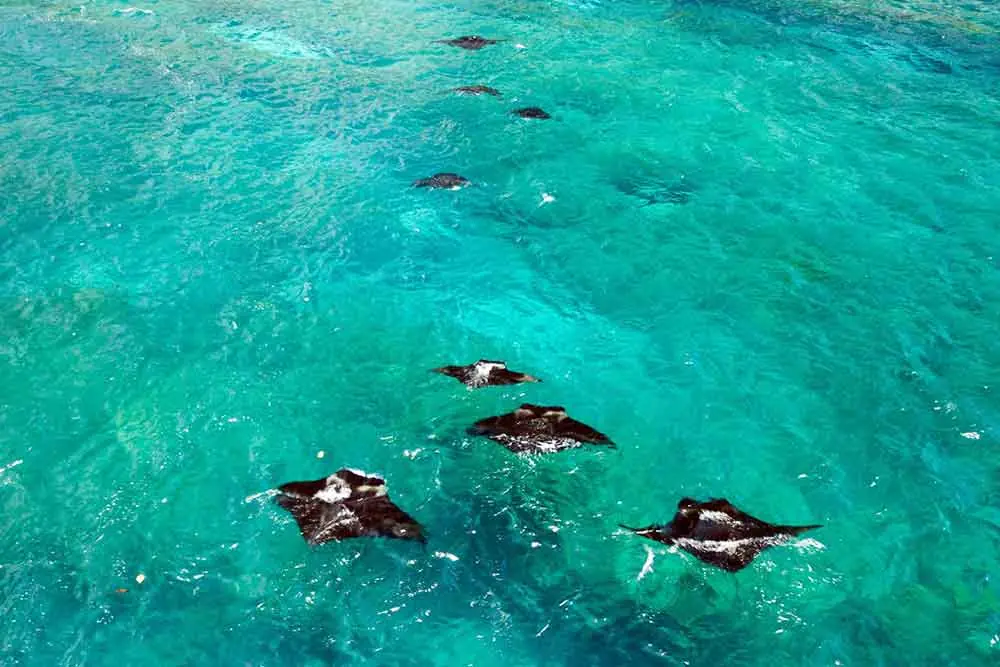 Snorkeling package in Nusa Penida